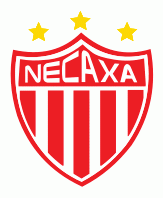 Necaxa Pres Primary Logo t shirt iron on transfers